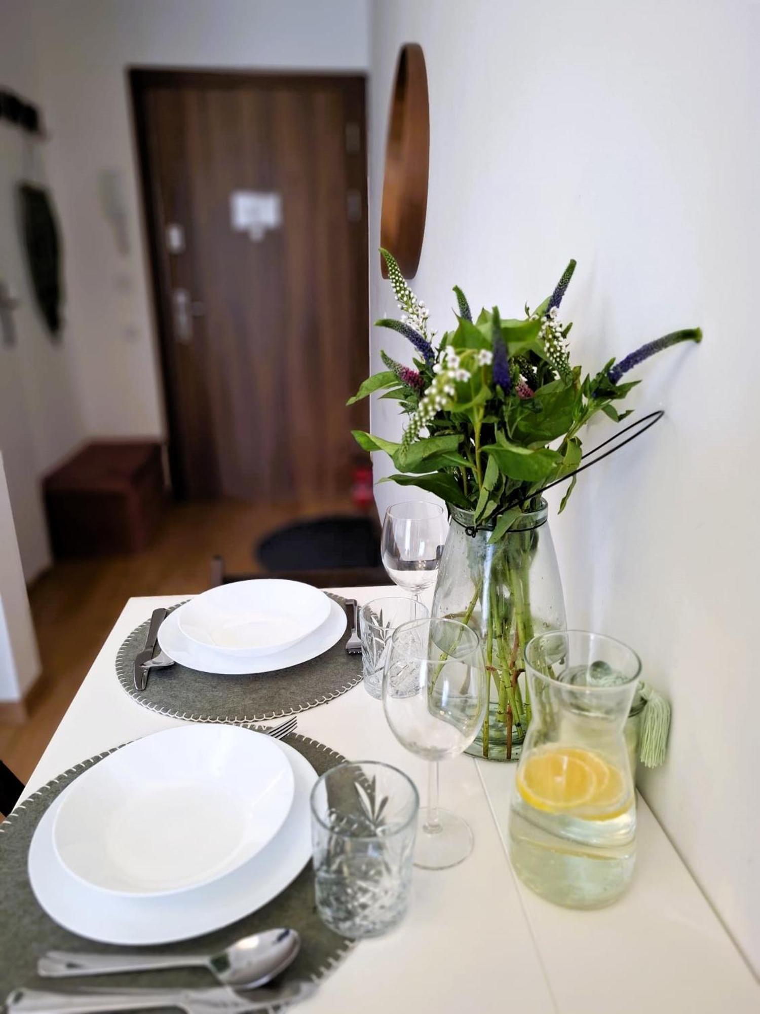 Apartament Na Grobli, Przy Kladce Zwierzynieckiej 弗罗茨瓦夫 外观 照片
